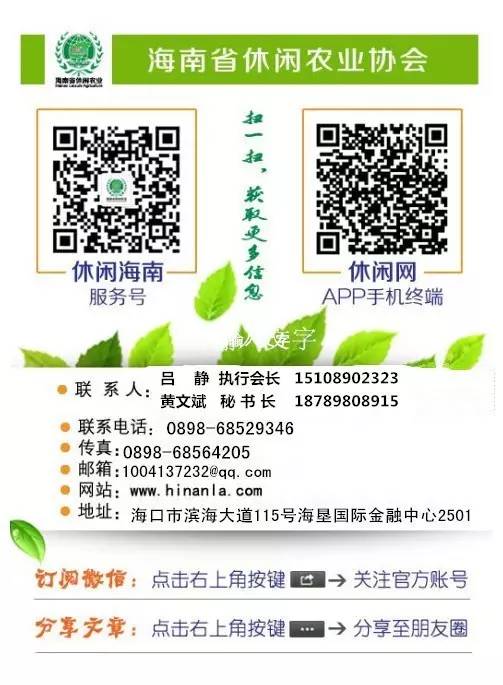 分享决窍“微乐海南麻将开挂软件下载!其实确实有挂