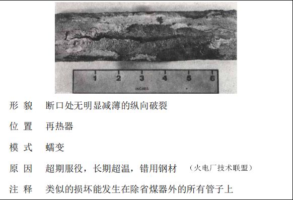 5分钟教会你“丽江卡心五外挂”(详细透视教程)-知乎