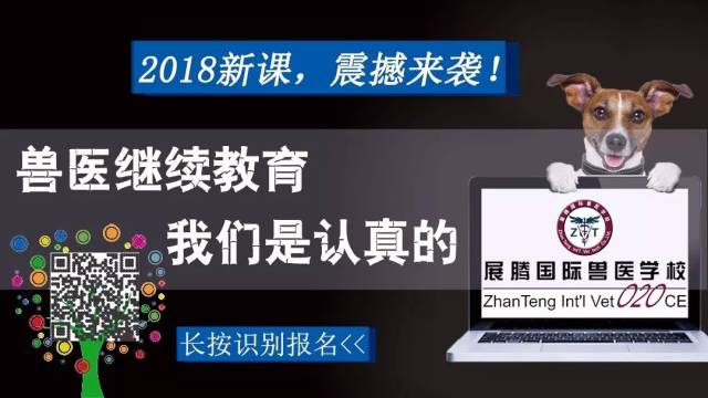 重磅推荐“百兽之王2究竟有没有挂”开挂教学