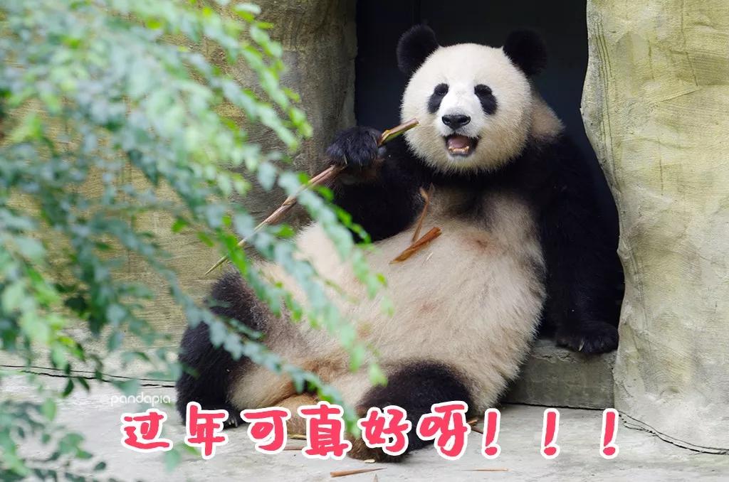 玩家必备教程熊猫麻将有没有软件可以看到对方牌”-太坑了原来有挂
