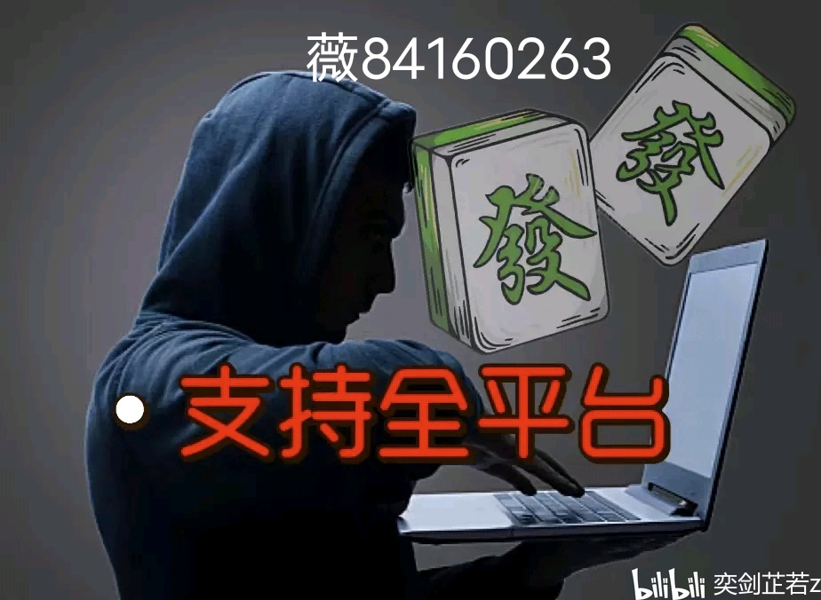 (2分钟介绍)“谁买过哈灵麻将软件助手!其实确实有挂的