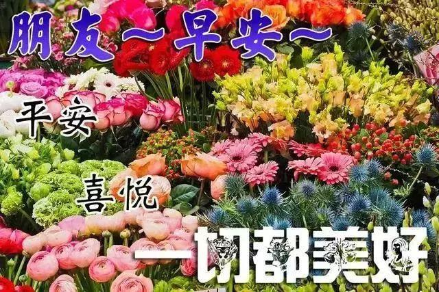 盘点实测分享“新海狮拼三张有挂吗”!原来真的有挂 