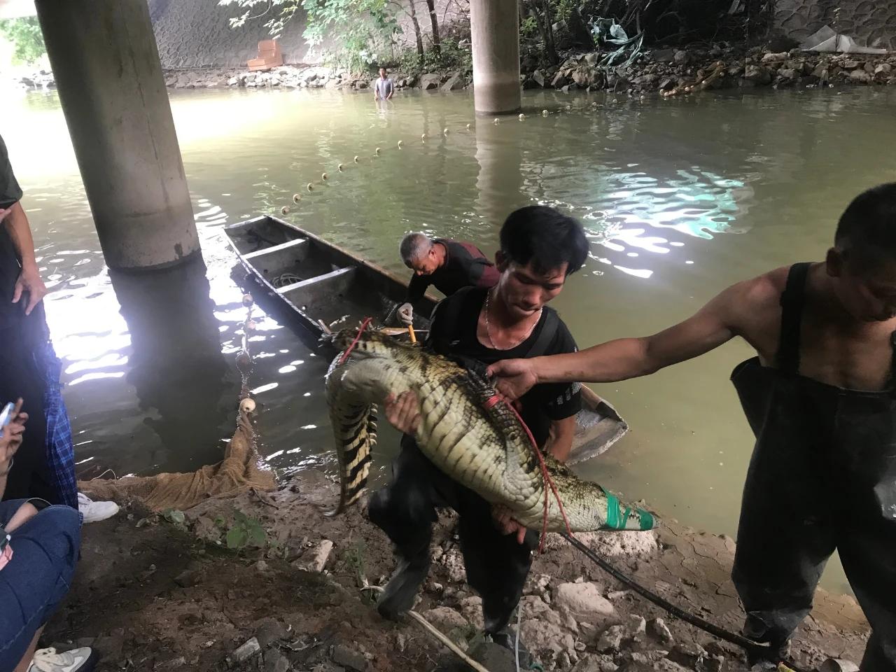 经典捕鱼游戏有没有漏洞（捕鱼软件的程序漏洞）