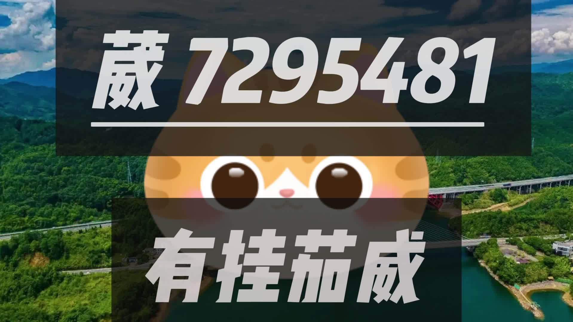 3分钟教你科普“微乐陕西麻将为什么经常输”(确实是有挂)-哔哩哔哩