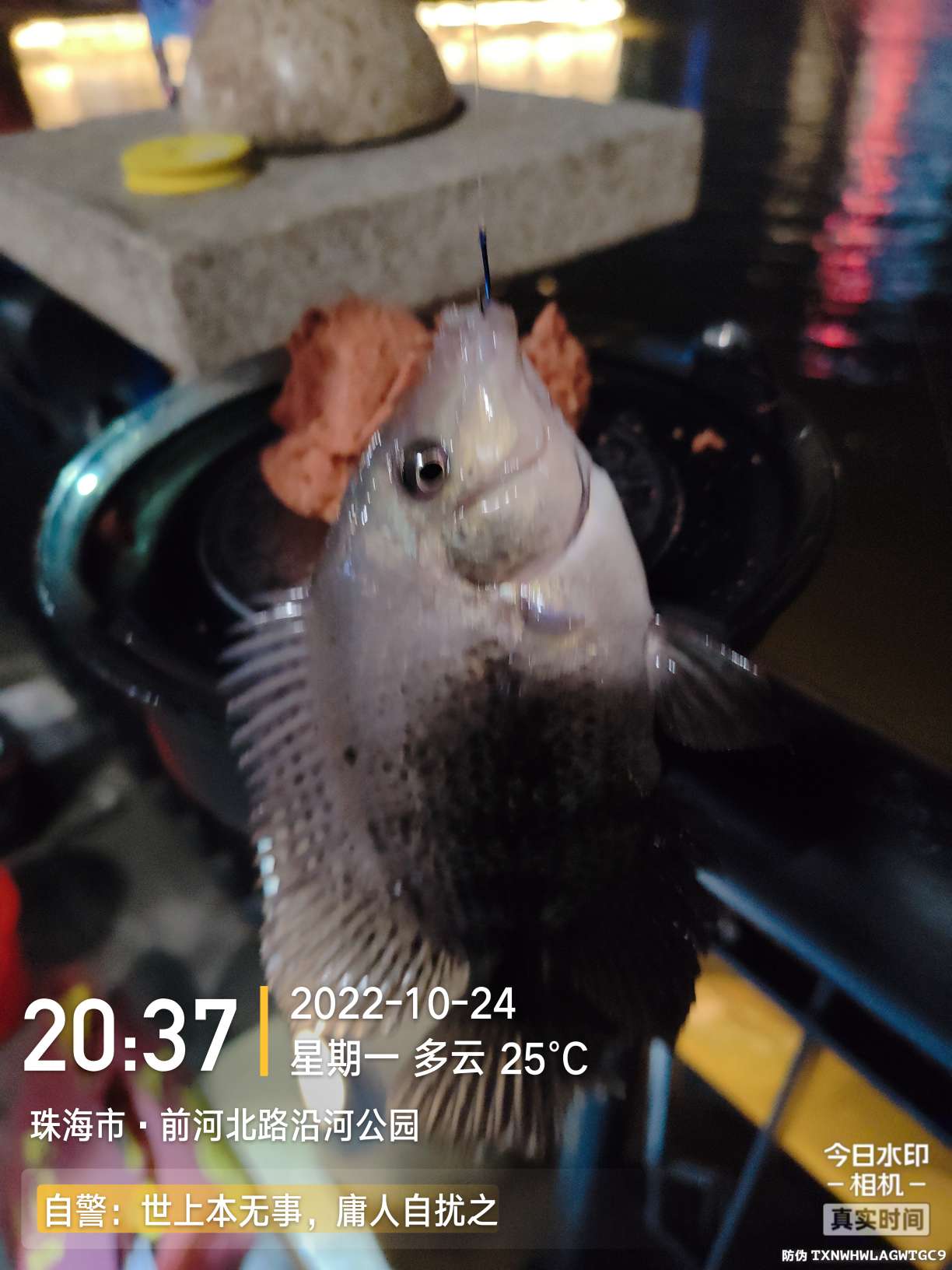 今日分享“欢聚水鱼到底可不可以开挂”分享开挂步骤方法-知乎 