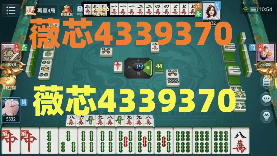 玩家必备十款！广东麻将十打九赢的打法微信(胜率到哪调)