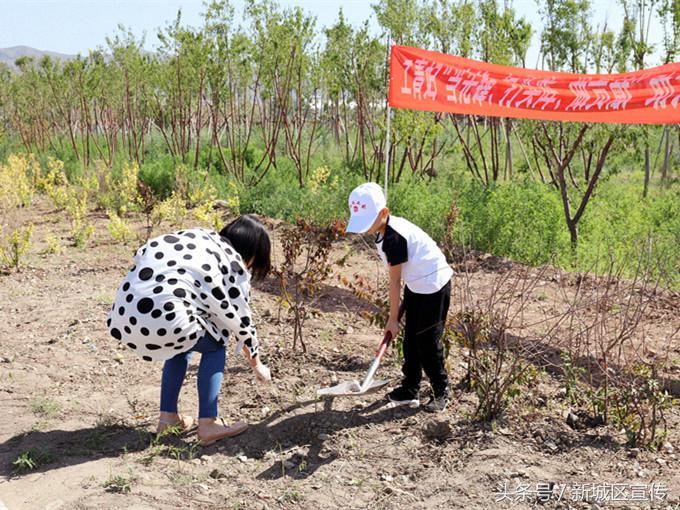 超稳新城金花挂（超稳新城炸金花下载）