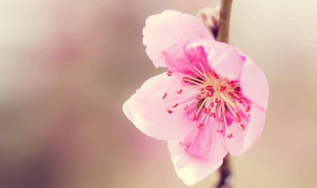 福建十三水挂（十三水福建十三）