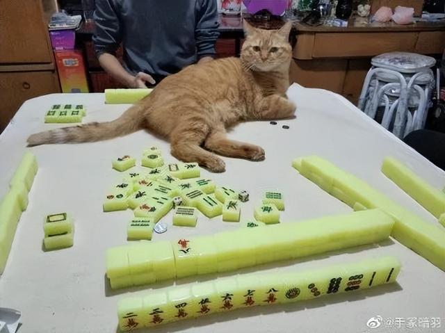 我来教教大家“熊猫麻将总是输!其实确实有挂