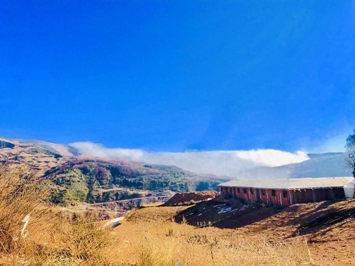 四川凉山挂树图片（四川凉山景区图片）