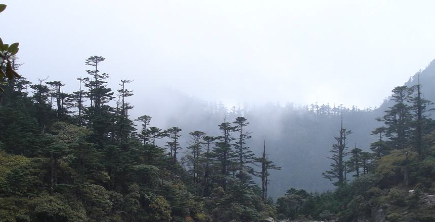 四川凉山挂树图片（四川凉山景区图片）