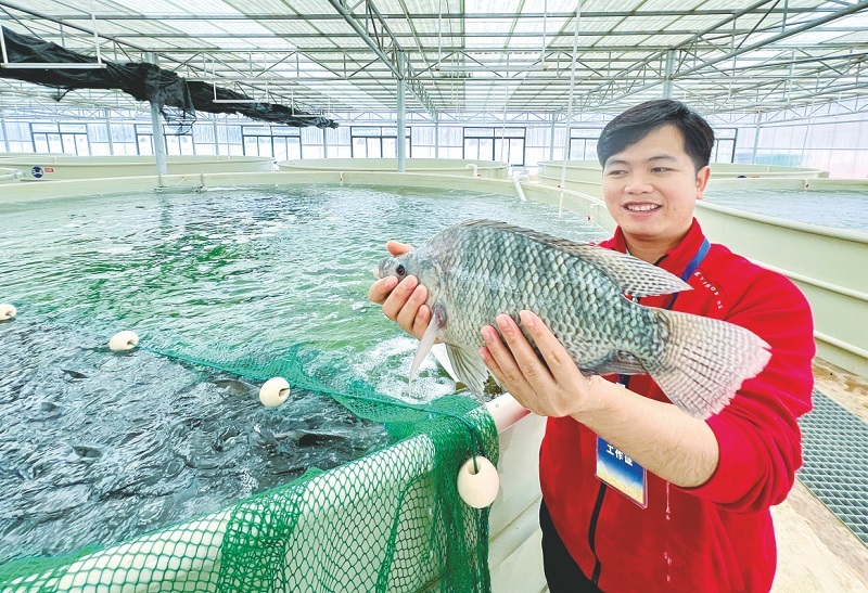 科技通报“欢聚水鱼究竟可以开挂吗”分享开挂详细方法