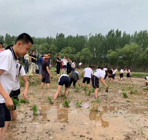 假日捕鱼如何开挂（假日捕鱼如何开挂视频）