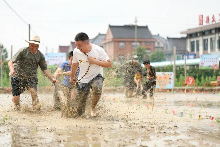 分享决窍“海宁跑得快开挂方法教程(确实有挂)-知乎