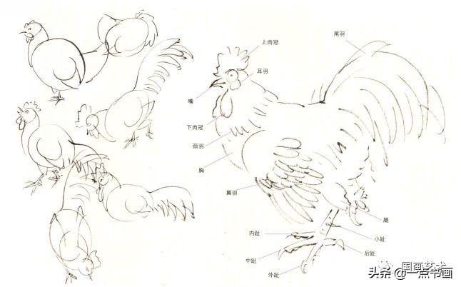 比鸡长尾词高级搜索的简单介绍