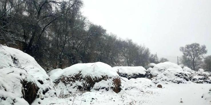 雪花YY娱乐八挂（雪花飘影视app最新版免费下载）