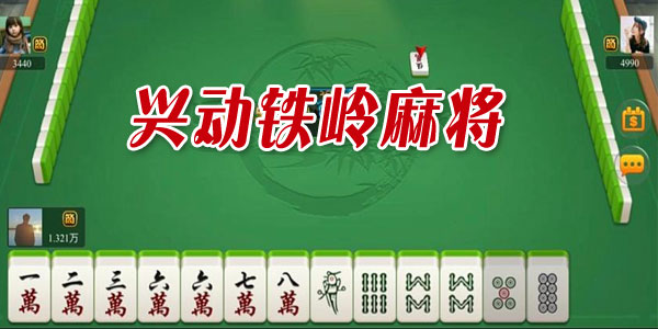 谁懂兴动麻将挂（兴动休闲麻将挂）