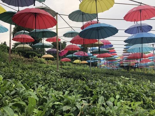 实测分享“最有用作弊方法玩扎金花技巧顺口溜_《爱问知识人 使用说明》