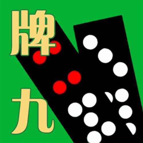 游九天麻将开挂（天九麻将教学）